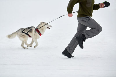 Low section of person with dog on snow