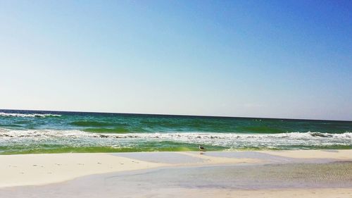 Scenic view of sea against clear sky