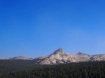 Scenic view of field against clear blue sky