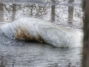 Horse in water