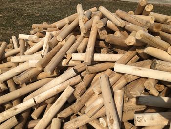 Stack of logs on field