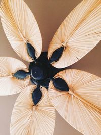 Eco style ceiling fan