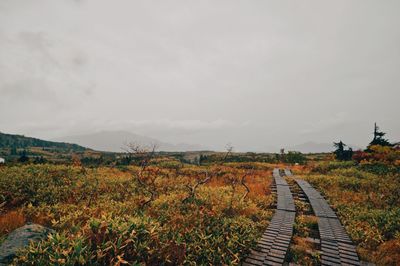 Scenic view of landscape against sky