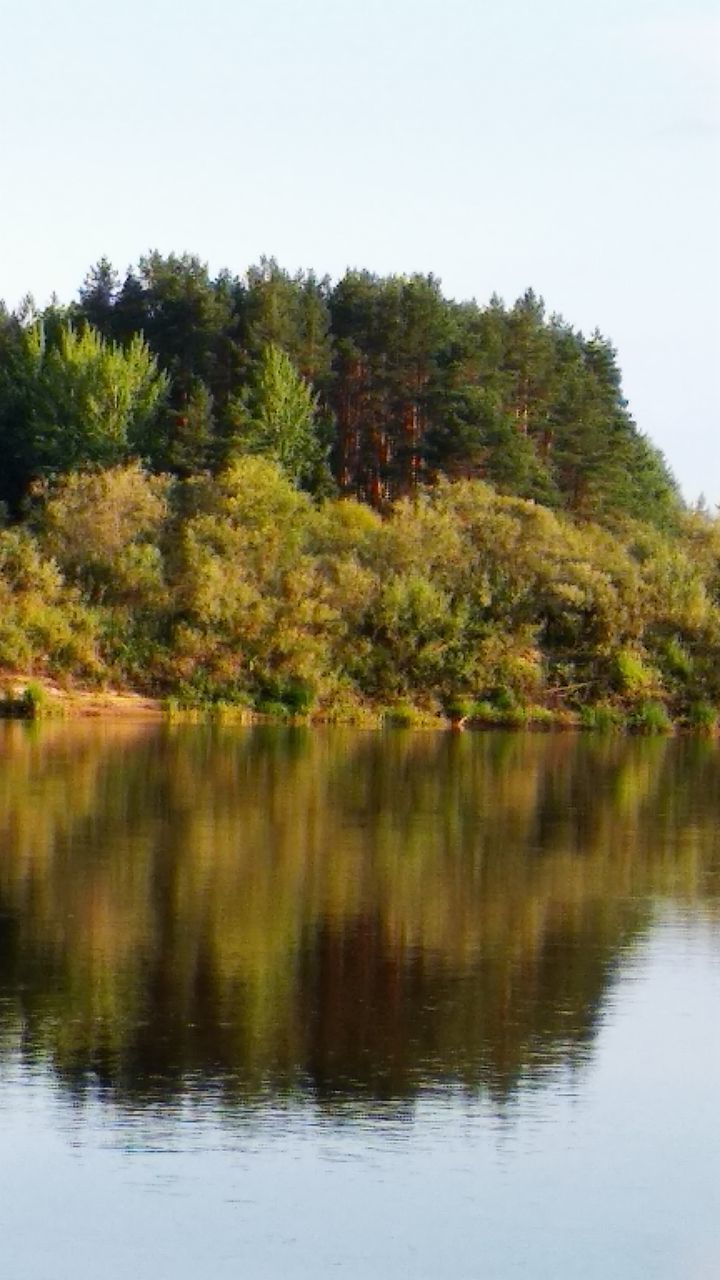 tree, water, plant, reflection, lake, nature, beauty in nature, tranquility, leaf, scenics - nature, tranquil scene, autumn, no people, sky, non-urban scene, body of water, forest, day, reservoir, growth, landscape, wilderness, outdoors, land, green, idyllic, natural environment, environment