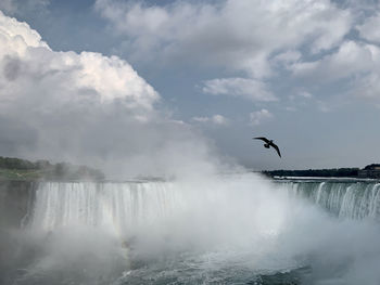 Birds flying over sea against sky