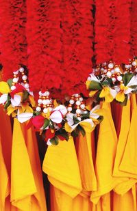 Close-up of multi colored flowers