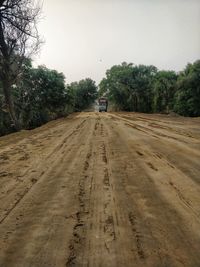 Dirt road amidst trees against sky