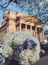 View of flowers in front of building