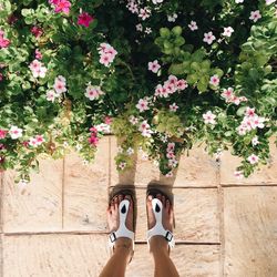 Low section of woman standing by flowering plants