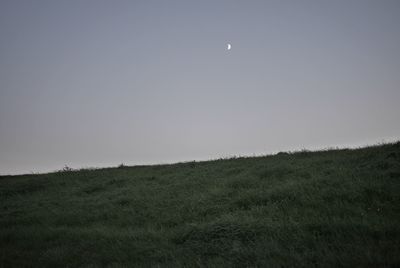 Scenic view of field against clear sky