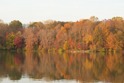 Scenic view of lake by trees during autumn