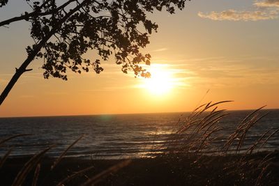 Scenic view of sea during sunset