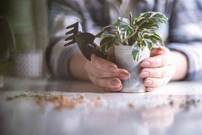 Cropped hand of woman holding plant