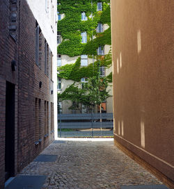 Footpath amidst buildings in city