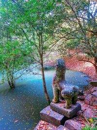 View of pond