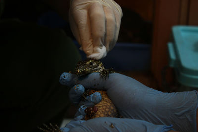 Close-up of man holding hands