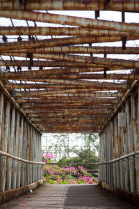 View of flowering plants in building