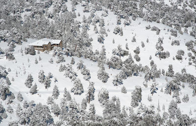 Lonely chalet house at the slope of a snowy mountain in winter. troodos forest cyprus wintertime.