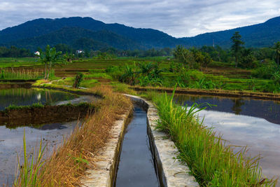 High angle view of bridge over mountains