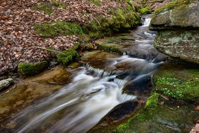 Stream flowing through rocks in forest