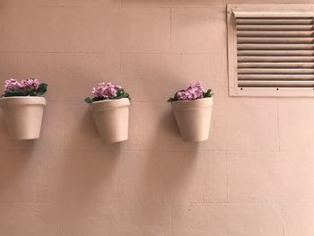 Potted flowers on plant