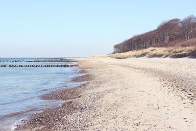 Scenic view of beach against clear sky