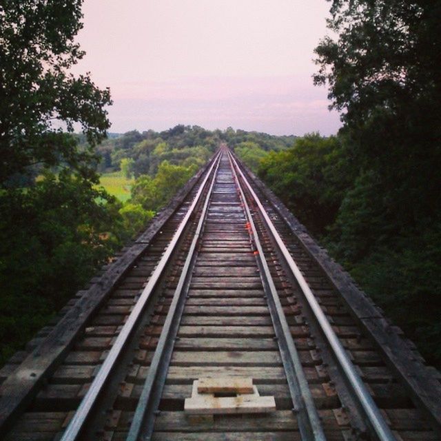 railroad track, transportation, rail transportation, the way forward, tree, diminishing perspective, vanishing point, railway track, connection, sky, clear sky, straight, forest, long, public transportation, day, no people, tranquility, nature, outdoors