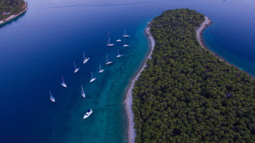 Aerial view of island and sea