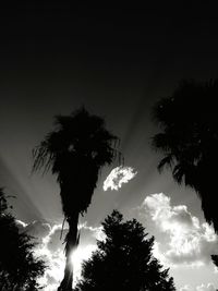 Low angle view of silhouette trees against sky