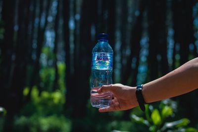 Midsection of person holding bottle against trees in forest