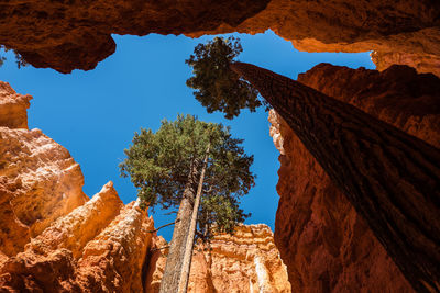 Low angle view of rock formations against sky