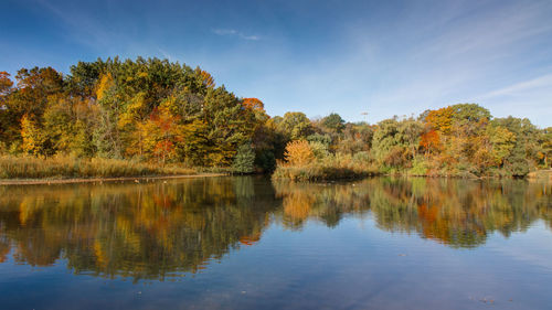 Scenic view of lake by trees against sky