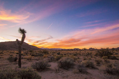 Scenic view of landscape against sky at sunset