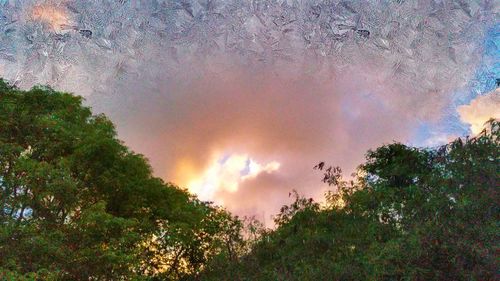 Low angle view of trees against cloudy sky