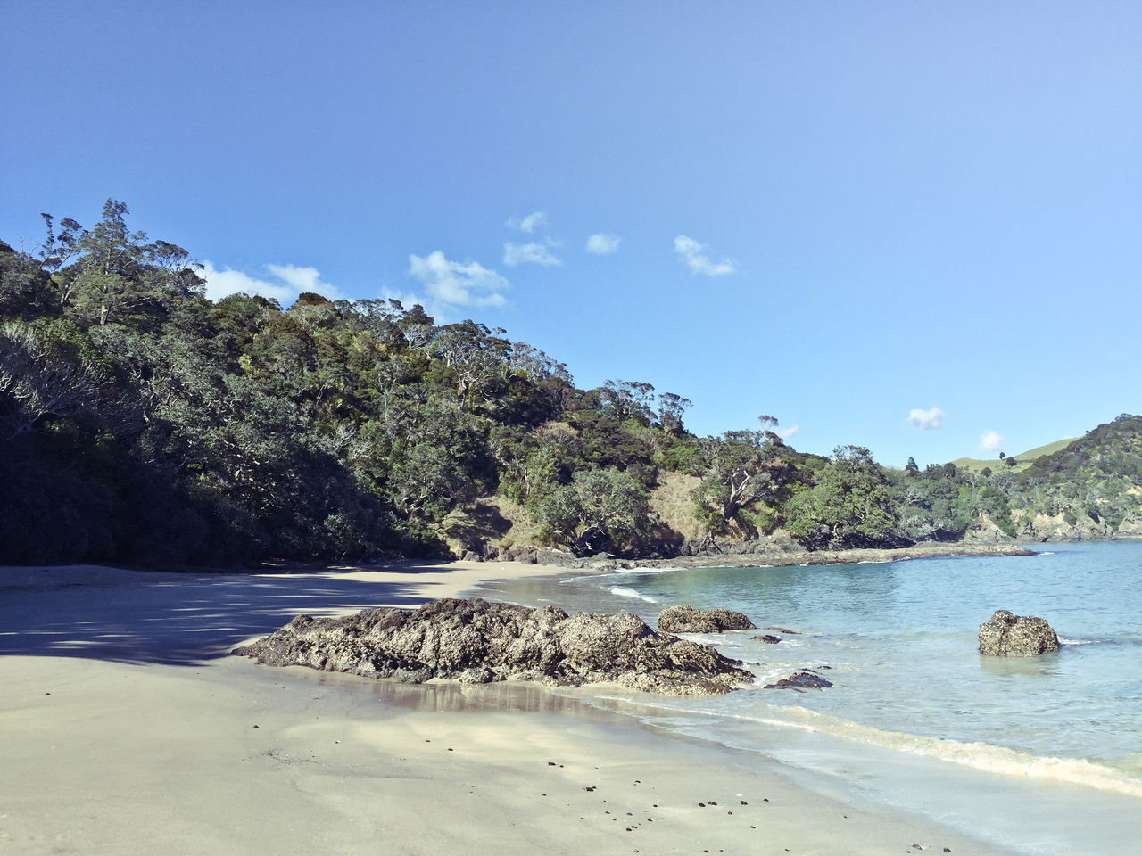 SCENIC VIEW OF BEACH AND SEA AGAINST SKY