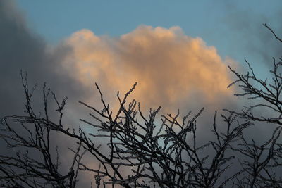 Low angle view of bare tree against cloudy sky