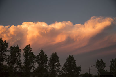 Low angle view of silhouette trees against sky during sunset