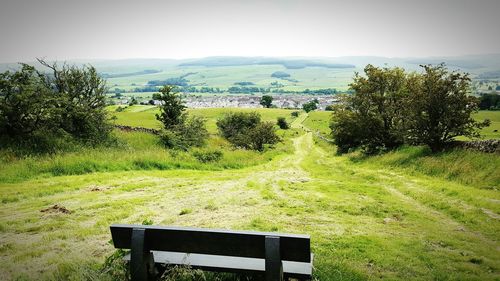 Scenic view of grassy field