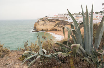 Scenic view of sea against clear sky