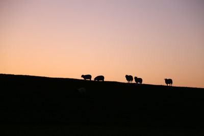 Low angle view of silhouette sheep on landscape against clear sky