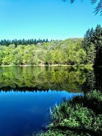 Reflection of trees in lake against clear sky