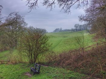 Scenic view of grassy field against cloudy sky