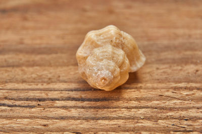 Close-up of cookies on table