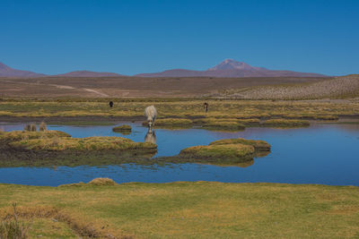 Scenic landscape from bolivia
