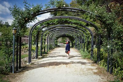 Rear view of man walking on footpath amidst trees