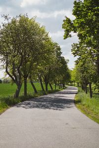 Road amidst trees against sky