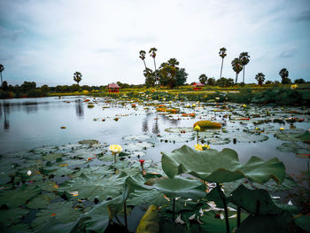 Scenic view of lake against cloudy sky