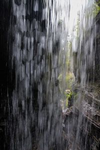 Scenic view of waterfall