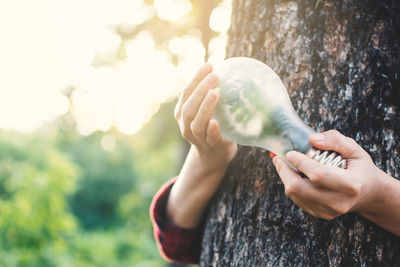 Midsection of woman holding apple against tree trunk