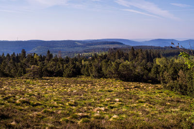 Scenic view of trees growing on field against sky